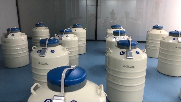 實(shí)驗(yàn)室液氮罐可以用來(lái)儲(chǔ)備液氮并且排放氣體的這款設(shè)備都有哪些優(yōu)勢(shì)呢？24.9.19